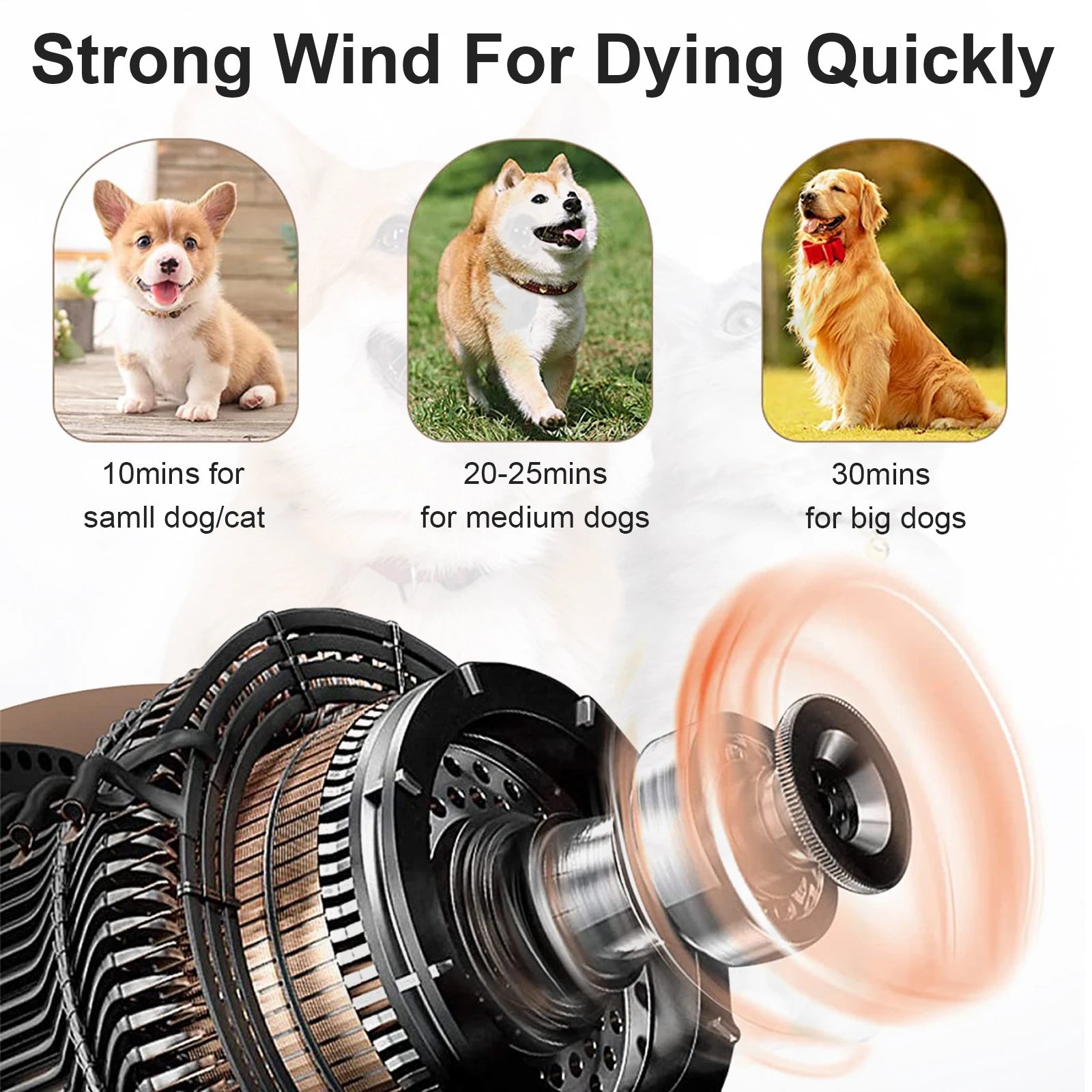 Dog Hair Dryer Professional 2800W Low Noise with 3 Nozzles & Extendable Hose Animal Hairdryer Grooming Blaster