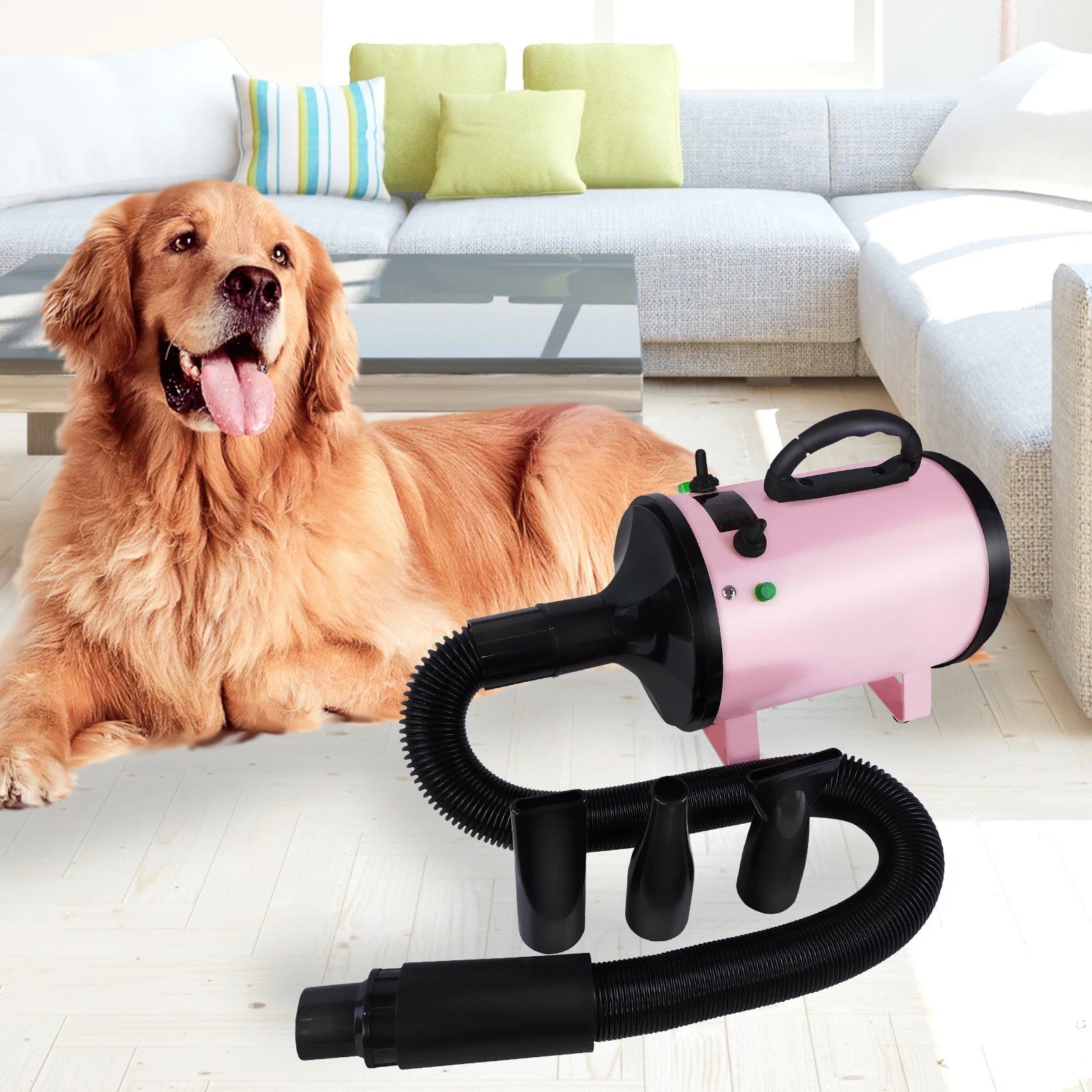 Dog Hair Dryer Professional 2800W Low Noise with 3 Nozzles & Extendable Hose Animal Hairdryer Grooming Blaster