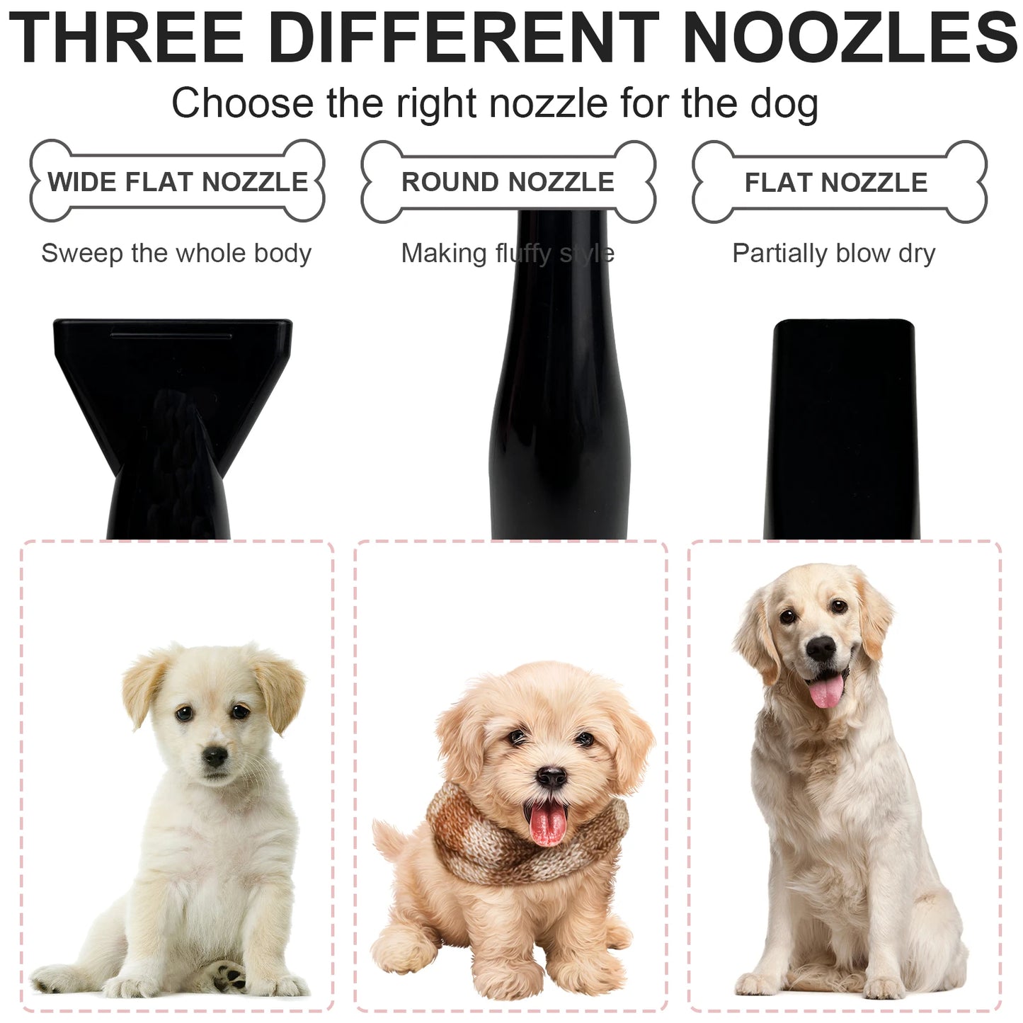 Dog Hair Dryer Professional 2800W Low Noise with 3 Nozzles & Extendable Hose Animal Hairdryer Grooming Blaster